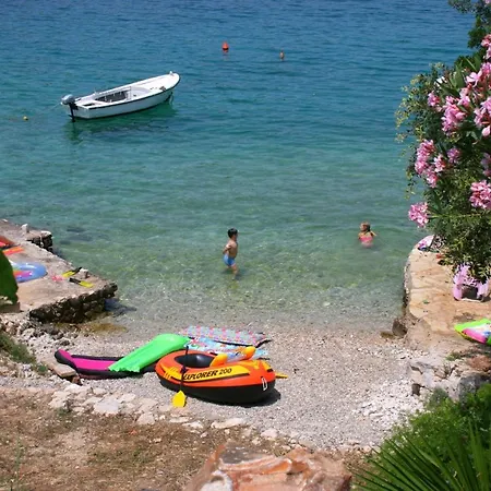 Zastupac 8761f * Brusje