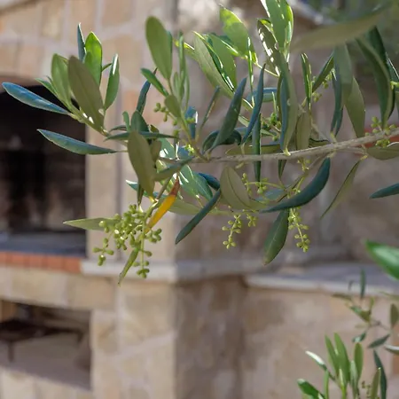 Zastupac 8761f Διαμέρισμα *